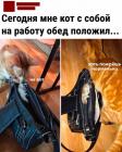 Прикрепленное изображение: Заботливый кот.jpg
