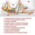 Прикрепленное изображение: Маршрут кота.jpg