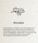 Прикрепленное изображение: 7-Молодой.jpg