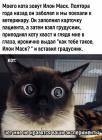 Прикрепленное изображение: 1684353120.jpg