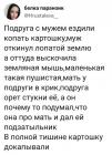 Прикрепленное изображение: Земляная мышь.jpg