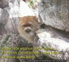 Прикрепленное изображение: 1718280416.jpg