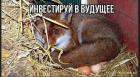 Прикрепленное изображение: 1718268094.jpg