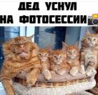 Прикрепленное изображение: Дед уснул.jpg