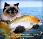 Прикрепленное изображение: imagesCAEULMVV.jpg