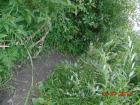 Прикрепленное изображение: DSC00006.JPG