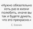 Прикрепленное изображение: Нужно обязательно полюбить, иначе так и будете думать, что это прекрасно.jpg