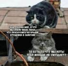 Прикрепленное изображение: 1658470080.jpg