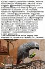 Прикрепленное изображение: Попугай и брага.jpg