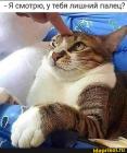 Прикрепленное изображение: Лишний палец.jpg