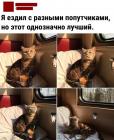 Прикрепленное изображение: Кот-попутчик.jpg