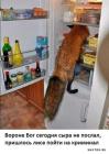 Прикрепленное изображение: 1720168196.jpg