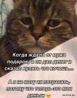 Прикрепленное изображение: 1721896983.jpg