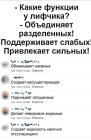 Прикрепленное изображение: IMG_1082.jpeg