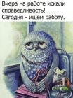 Прикрепленное изображение: Искали справедливость.jpg