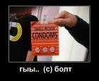 Прикрепленное изображение: b.jpg