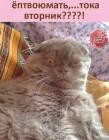 Прикрепленное изображение: 239878115_4180292405411213_7345907536055392323_n.jpg