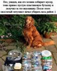 Прикрепленное изображение: 1630081964.jpg