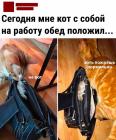 Прикрепленное изображение: Кот положил обед.jpg