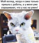 Прикрепленное изображение: Только пришла с работы.jpg