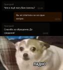 Прикрепленное изображение: Техподдержка.jpg