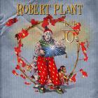 Прикрепленное изображение: Robert_Plant___Band_of_Joy_2010.jpg