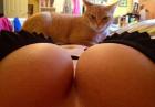 Прикрепленное изображение: cat boobs.jpg