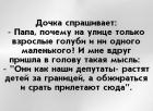 Прикрепленное изображение: Голуби - они как наши депутаты.jpg