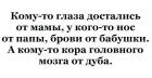 Прикрепленное изображение: Кора головного мозга от дуба.jpg