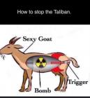 Прикрепленное изображение: Sexy Goat - How to stop the Taliban.jpg