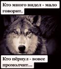 Прикрепленное изображение: Кто много видел - мало говорит, кто пёрнул - вовсе промолчит.jpg