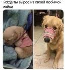 Прикрепленное изображение: 1663321720.jpg