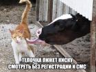 Прикрепленное изображение: 1663397808.jpg
