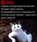 Прикрепленное изображение: Кота дома забыл.jpg
