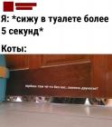 Прикрепленное изображение: Котики под дверью.jpg