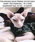 Прикрепленное изображение: 376812564_6855101734533874_8578634699606669344_n.jpg