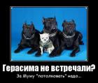 Прикрепленное изображение: 1693928782.jpg