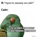 Прикрепленное изображение: 1695891687.jpg