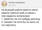 Прикрепленное изображение: Чайный гриб.jpg