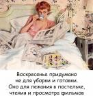 Прикрепленное изображение: Воскресенье не для уборки.jpg