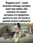 Прикрепленное изображение: Вздрючь кота.jpg