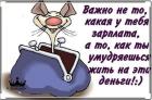 Прикрепленное изображение: Умудряешься жить.jpg