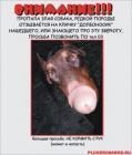 Прикрепленное изображение: 727aa3ed4ce4.jpg