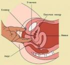 Прикрепленное изображение: g_spot_RU_2.jpg
