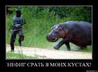 Прикрепленное изображение: 69194_de.jpg