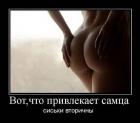 Прикрепленное изображение: images.jpg