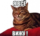 Прикрепленное изображение: Я всё вижу!.png