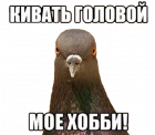 Прикрепленное изображение: Кивать головой моё хобби.png