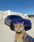 Прикрепленное изображение: selfi_55368.jpg