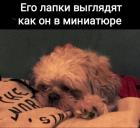 Прикрепленное изображение: 1664978953.jpg
